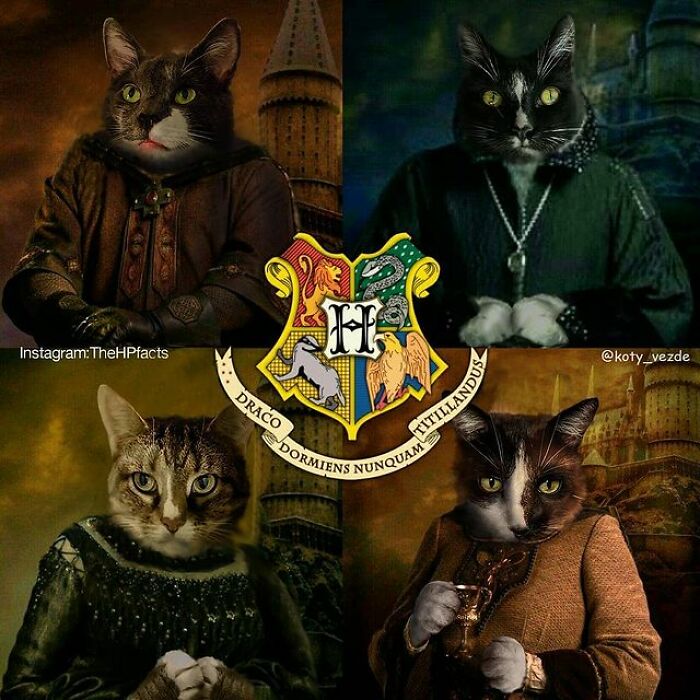 Artist Makes Montages With Cat Faces On Anything And The Result Is Impressive (New Pics)