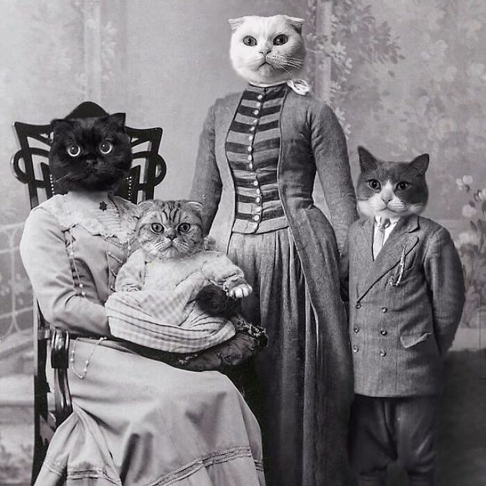 Artist Makes Montages With Cat Faces On Anything And The Result Is Impressive (New Pics)