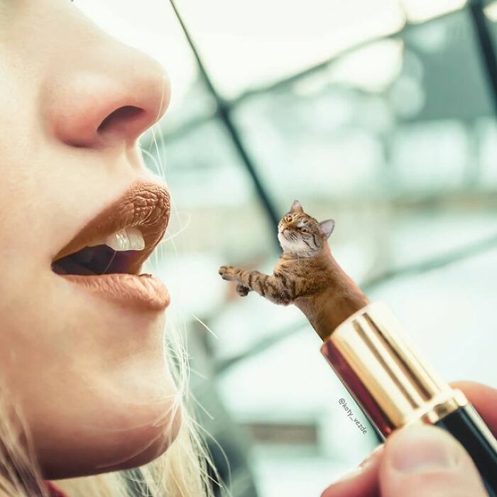 Artist Makes Montages With Cat Faces On Anything And The Result Is Impressive (New Pics)