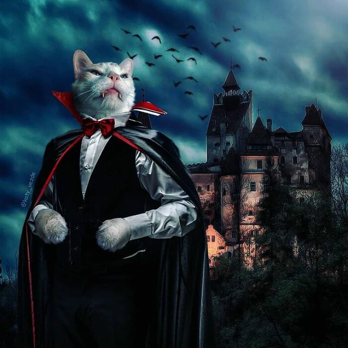 Artist Makes Montages With Cat Faces On Anything And The Result Is Impressive (New Pics)