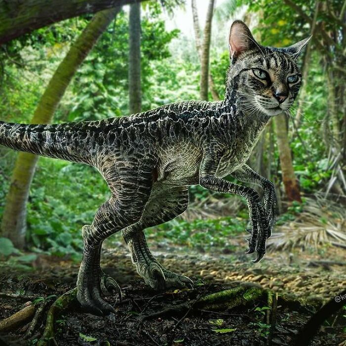 Artist Makes Montages With Cat Faces On Anything And The Result Is Impressive (New Pics)