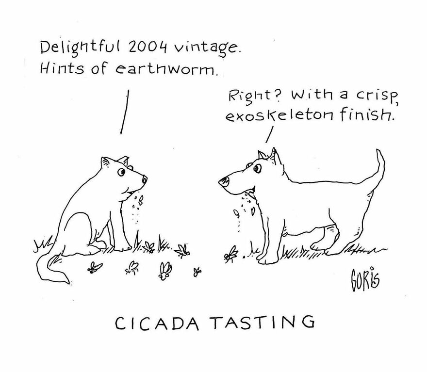 Artist Makes Random Comics About The Things That Happen Around Him