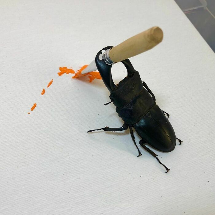 I Think It’s Time For A New Artwork