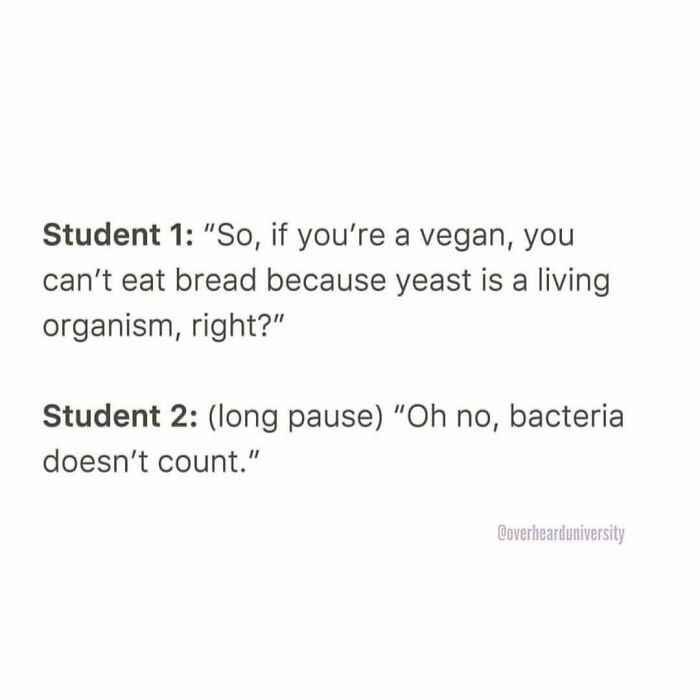 Interesting-Conversations-Overheard-University