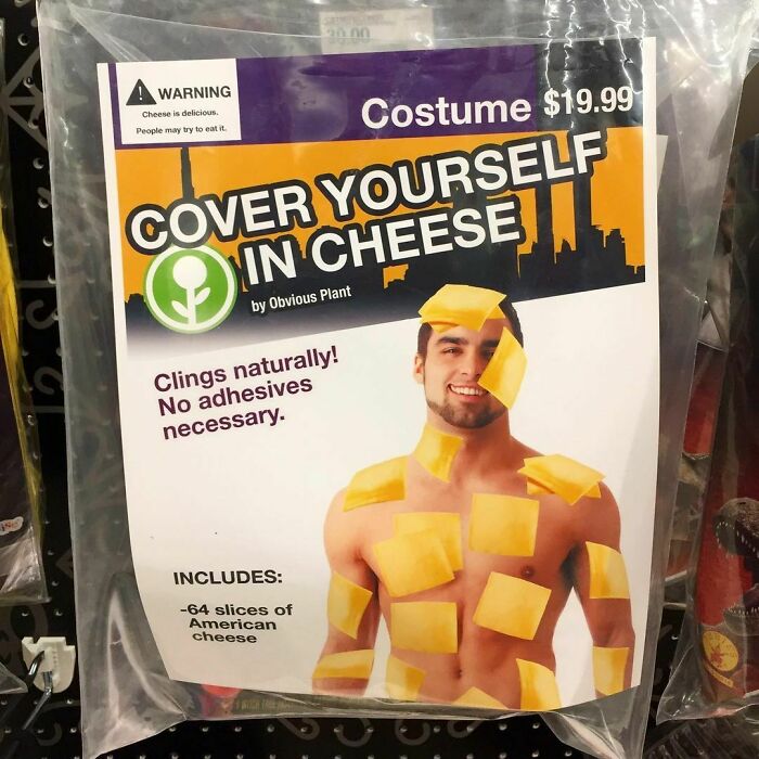 Fun Costume Idea
