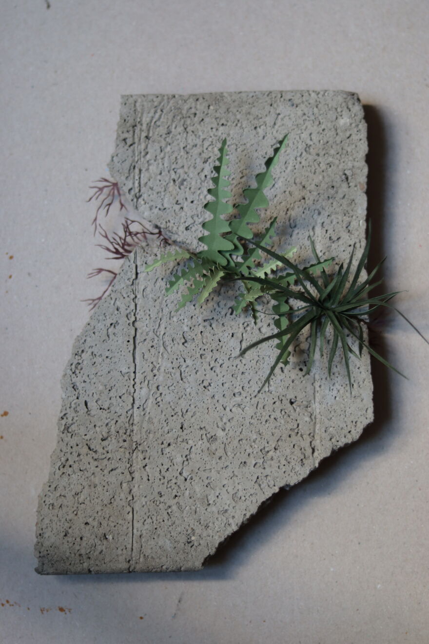 My New Series Called 'Weeds'