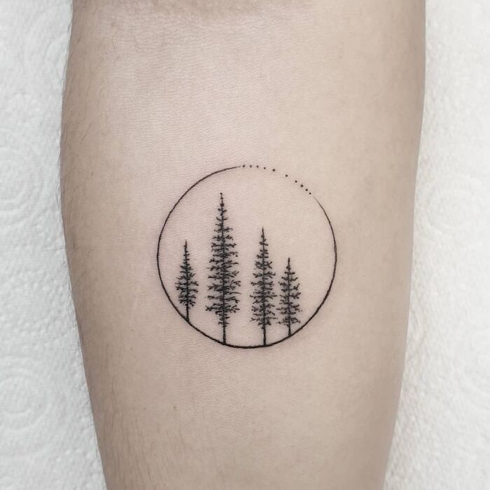 Minimalist tree tattoo design in a circle, showcasing a first tattoo idea on the forearm.