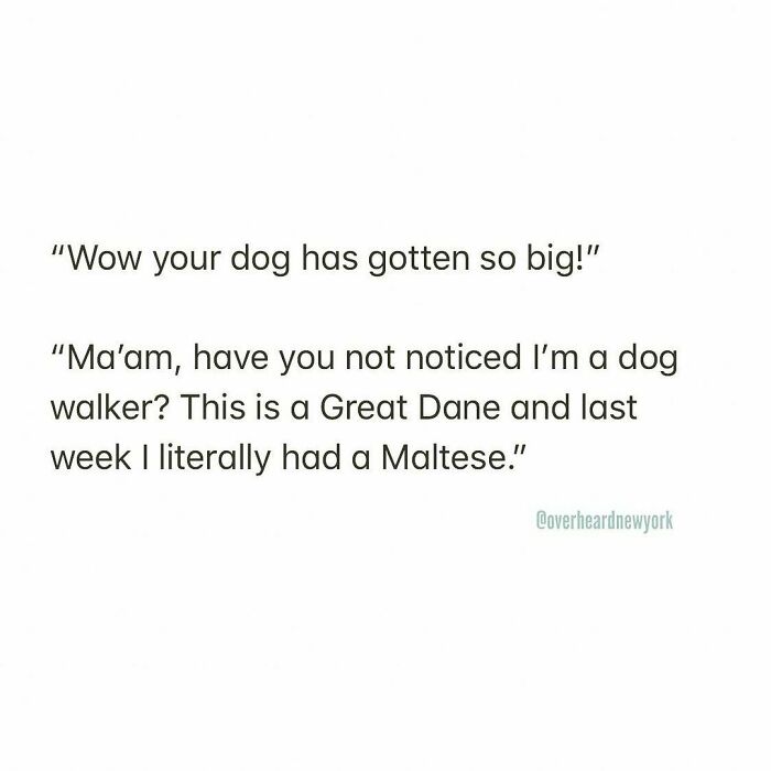 Funny-Overheard-New-York