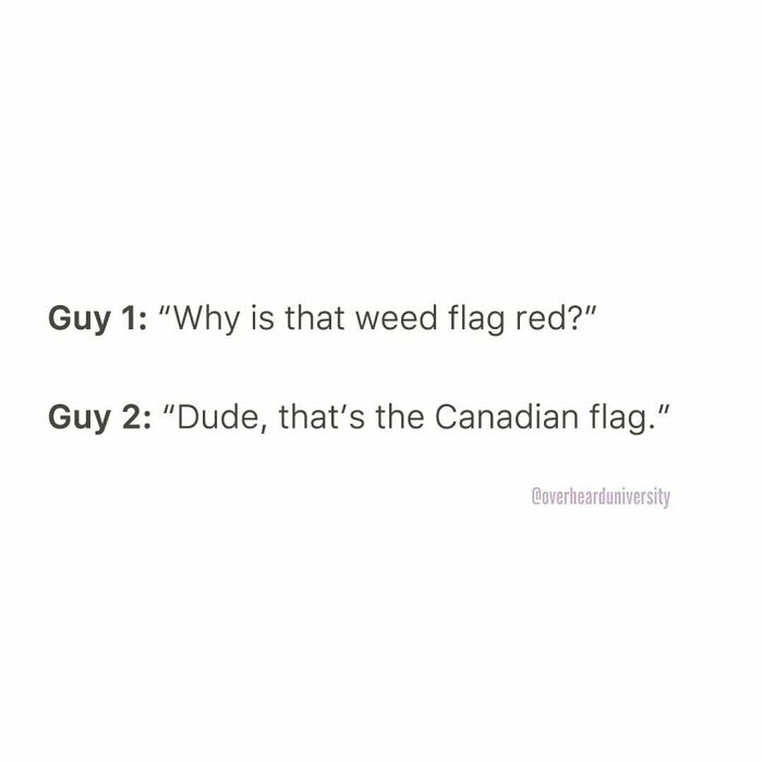 Interesting-Conversations-Overheard-University