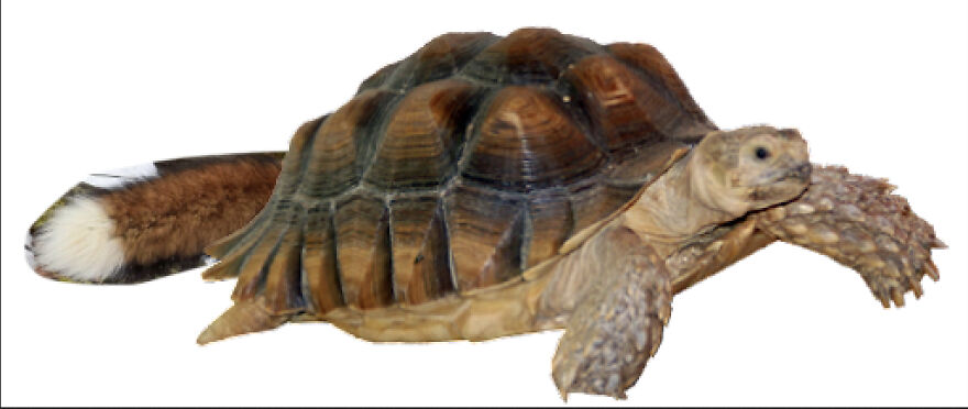 40 Low-Effort Photoshop Mythical Creatures