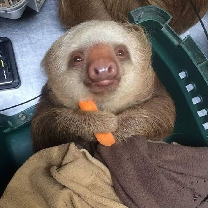 When You Wake Up Hangry