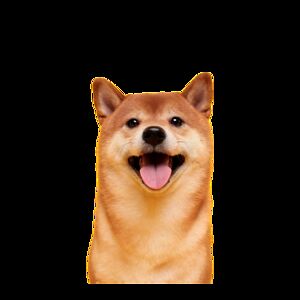 sheldonreynolds avatar