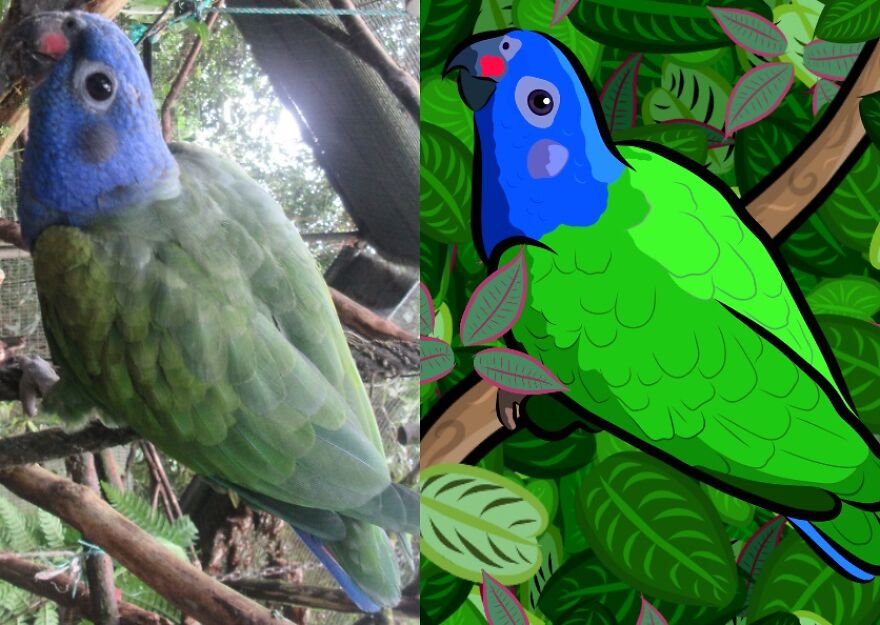 We Spent 2 Months In The Amazon And Made A Board Game About It!