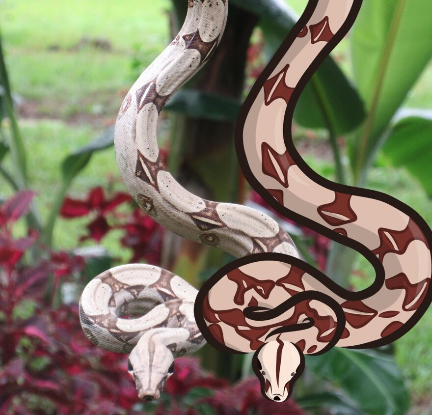 We Spent 2 Months In The Amazon And Made A Board Game About It!