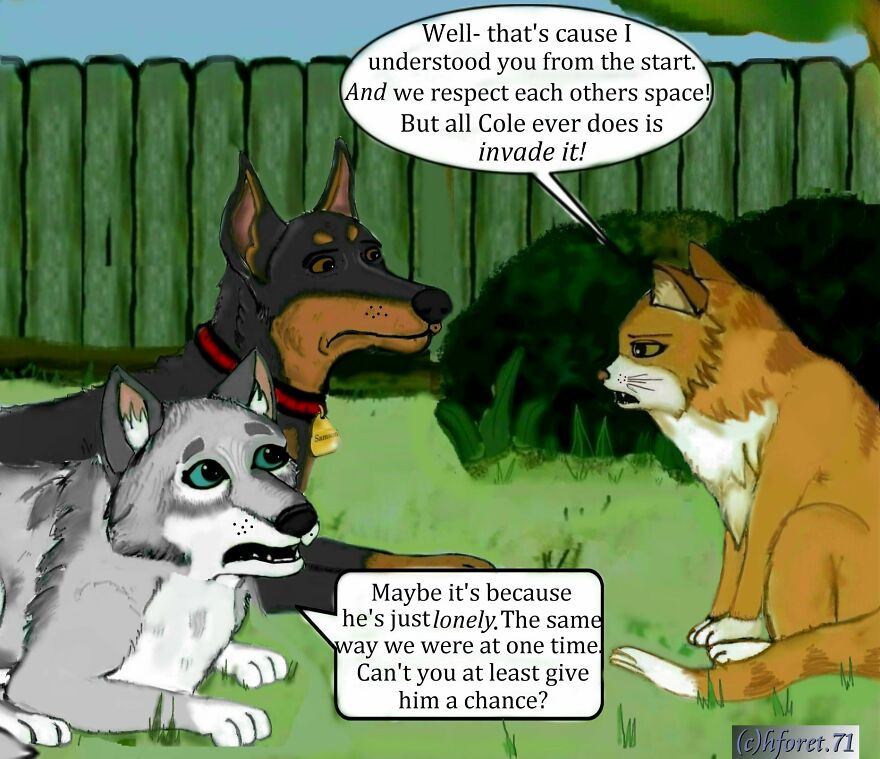 "Boundaries..." "Boundaries..."