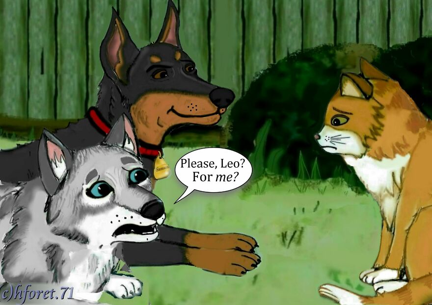 "Boundaries..." "Boundaries..."