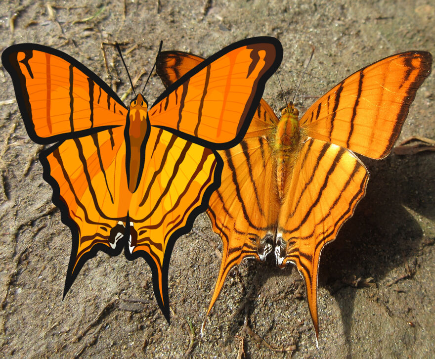 We Spent 2 Months In The Amazon And Made A Board Game About It!