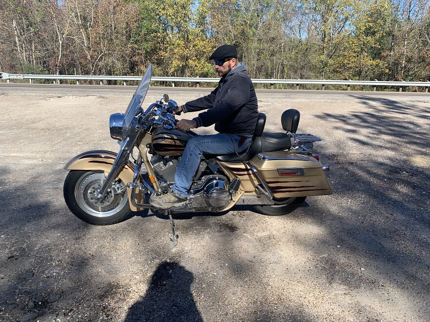 My Happy Little Life