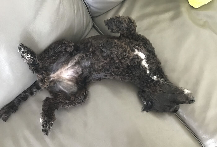 The Definition Of Relaxation