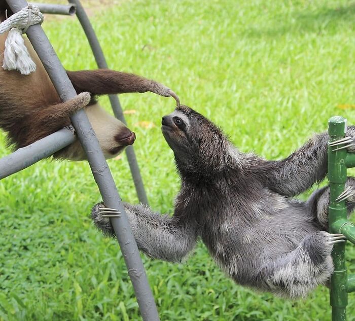 Painted By Leonardo DiCaprio