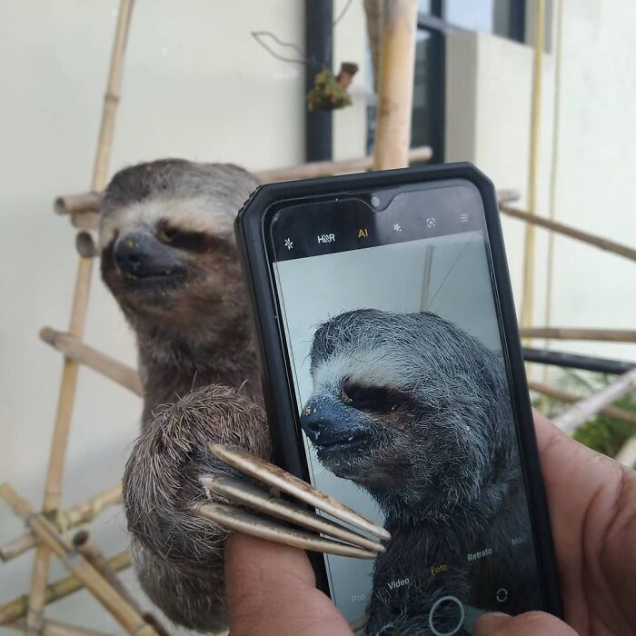 No No, Retake The Picture