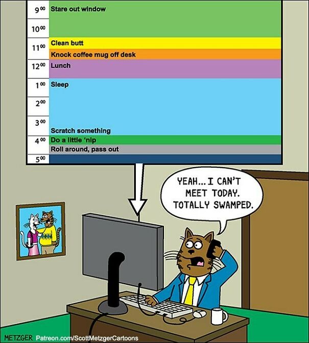 This Cartoon Is Available As A Greeting Card On Scottmetzgercards.com
#cat #cats #catsofinstagram #work #greetingcards