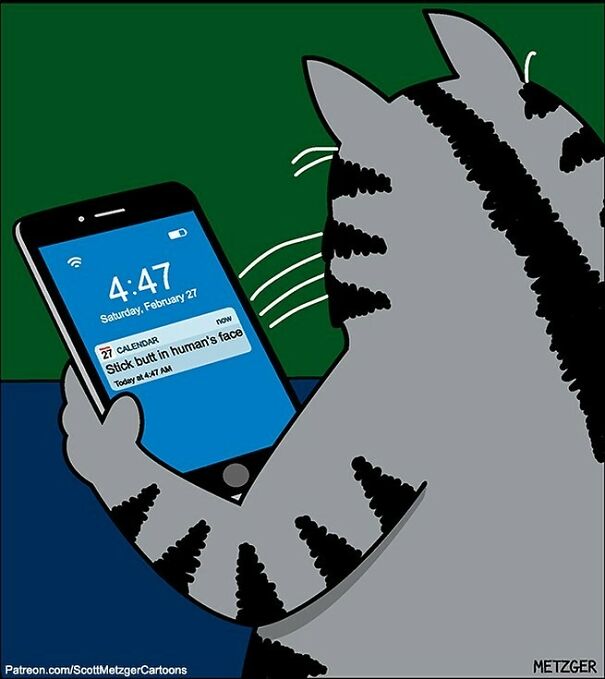 Inspired By Real Events. #cat #cats #catsofinstagram #caturday #pets
patreon.com/Scottmetzgercartoons