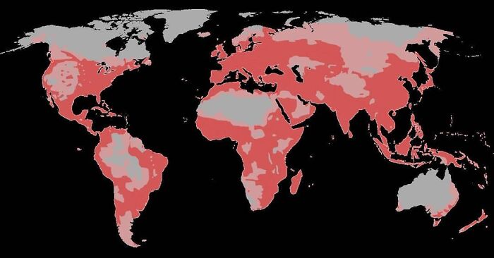 Range Of Homosapiens