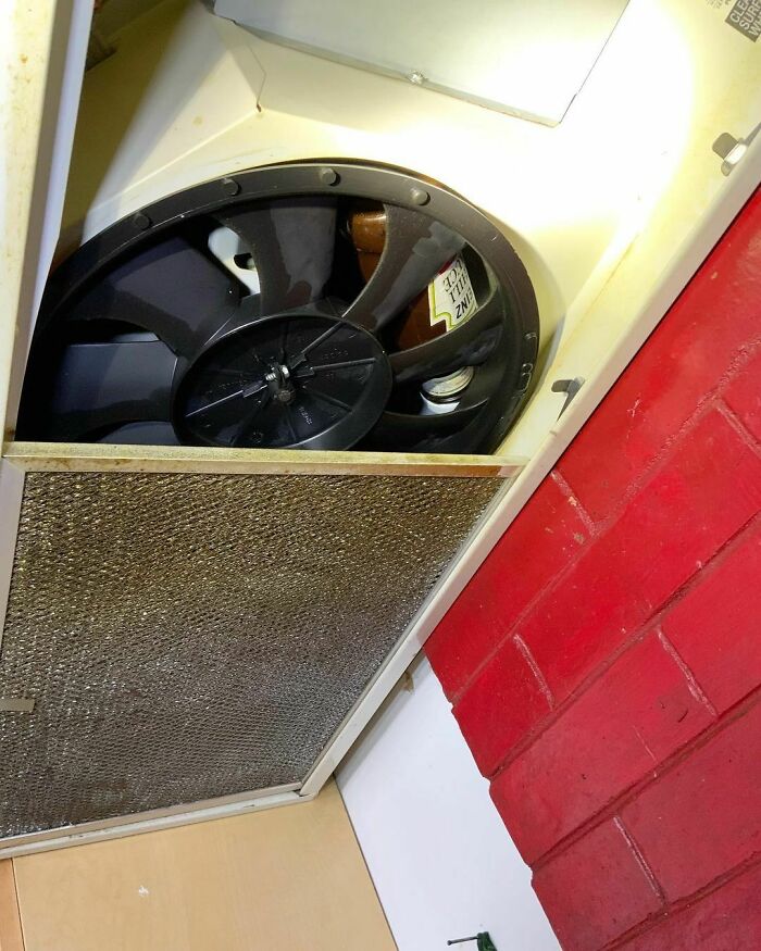 ¿Quién esconde la Heinz?