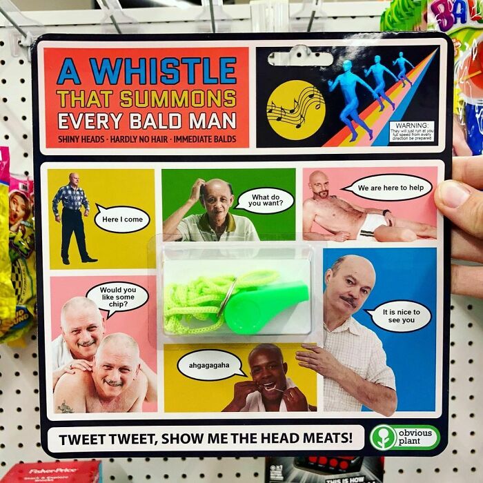 A Whistle That Summons Every Bald