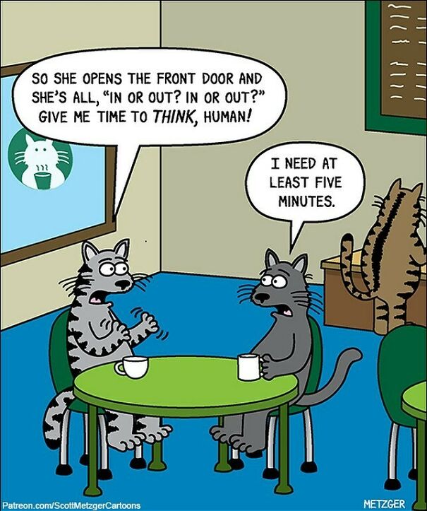 High Pressure! #cat #cats #catsofinstagram #coffee #pets
patreon.com/Scottmetzgercartoons