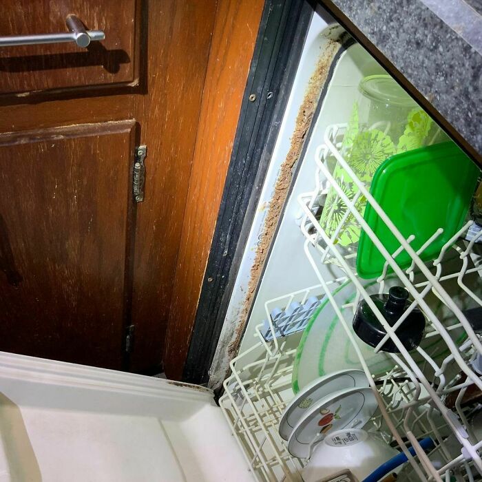 Well At Least The Dishes Are Clean!