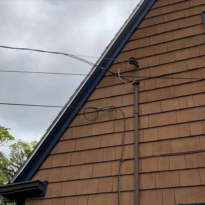 Tug Of War...and The Telephone Pole Is Winning!