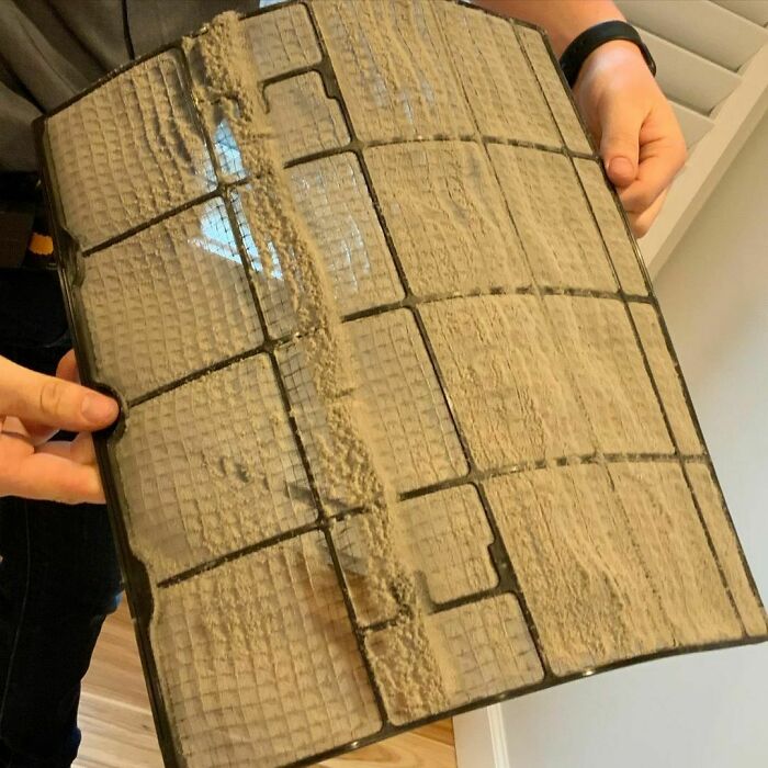 Found The Origin Of Covid!