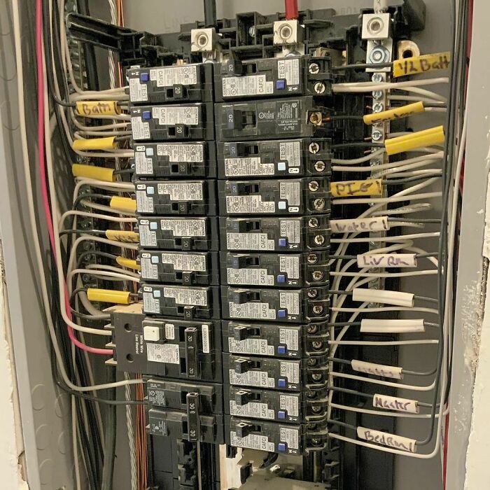 I Found A Pig In The Electric Panel!