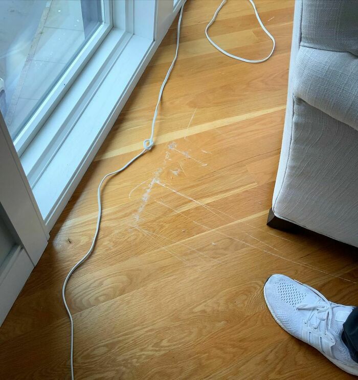 Who Has Been Doing What On This Couch?