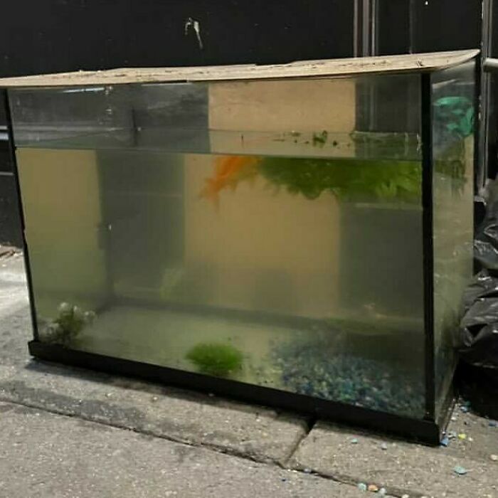 Can Someone Please Make Sure Its Been Rescued???