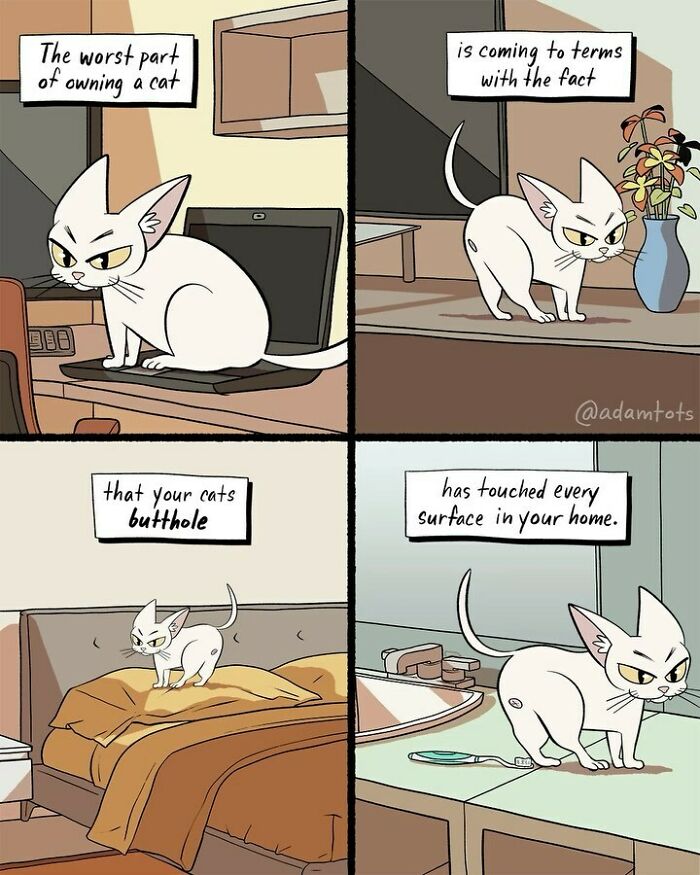 38 Fun New Adam Ellis Comics For You To Laugh