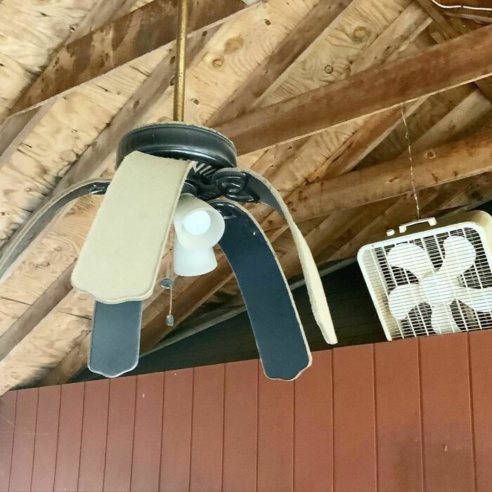 ¡Menos mal que tienen un respaldo!