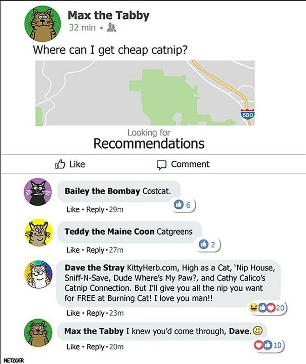 Dave The Stray Always Delivers. #cat #cats #catsofinstagram #davethestray
patreon.com/Scottmetzgercartoons