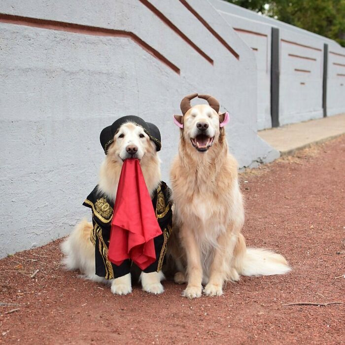 It Might Be Monday But We Can Take The Bull By The Horns And Get Through The Week Ahead