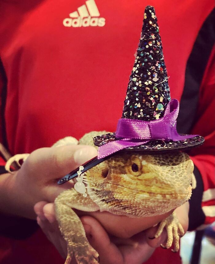 Not Done Yet Sneak Peak To Lezzy's Halloween Costume