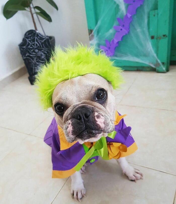 Guess Who's Back Asking For Thousands Of Sweet And Delicious Treats?