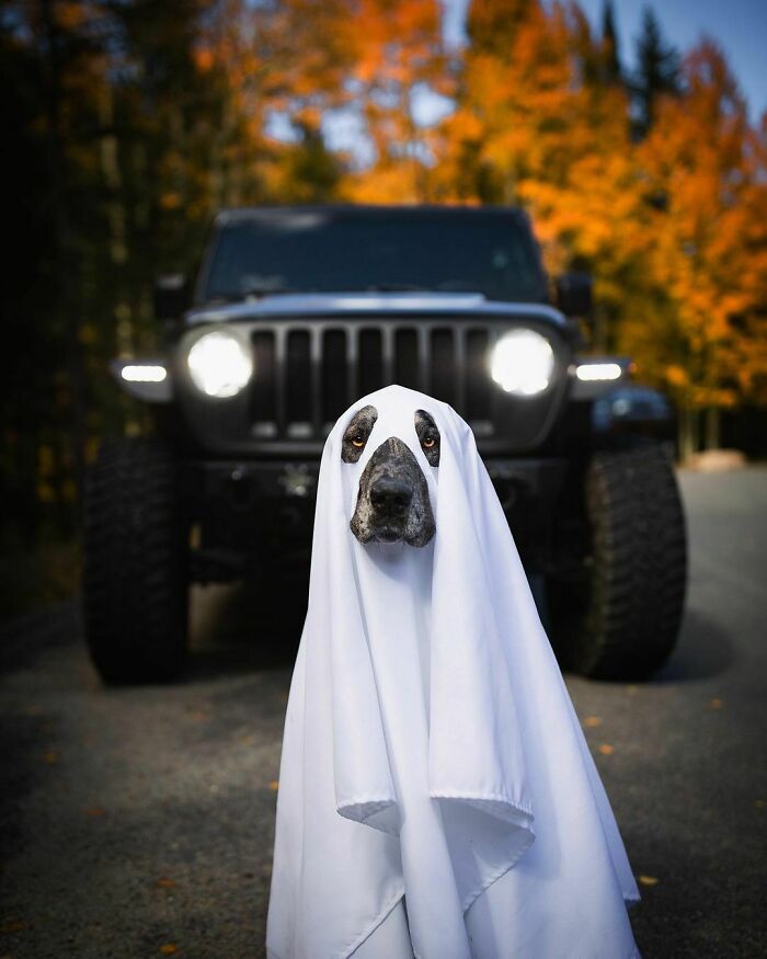 We Don’t Even Have To Try, It’s Always A Ghoul Time