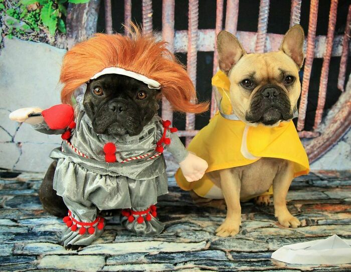 We All Float Down Here