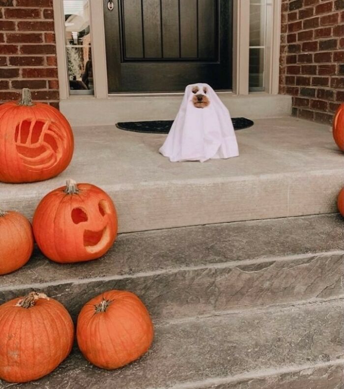 I Mean, How Adorable Is This?!