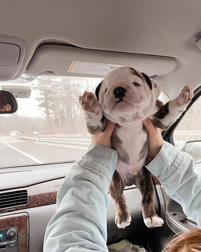 To The Day I Came Home