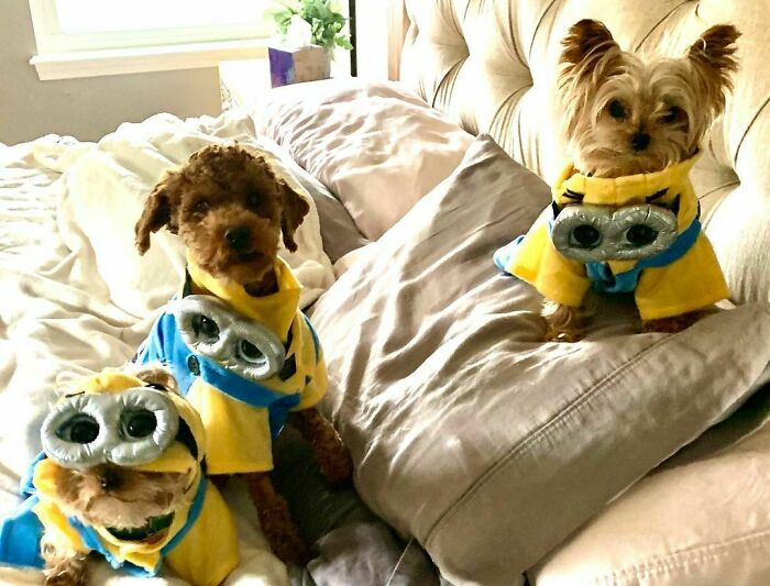 Coming To A Theater Near You