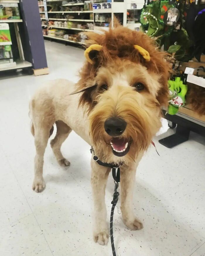 Trying On Halloween Costumes