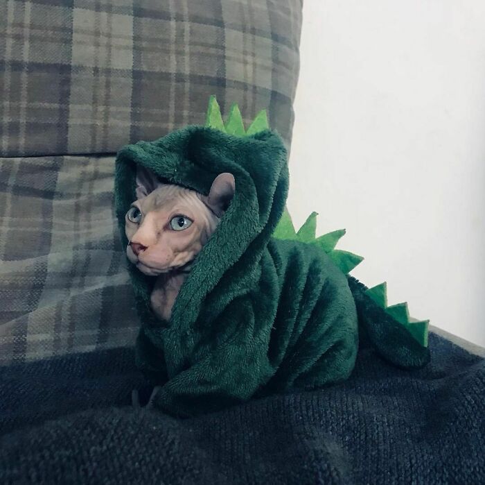 Brb. We’re Just Practicing Halloween